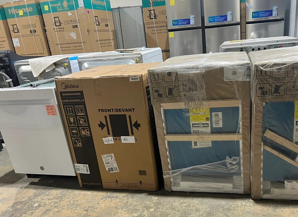 WhatsApp Image 2026-03-06 at 11.54.24 (1).jpeg