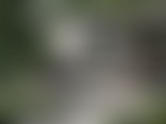 The Tool Changed. The Eye Didn't.