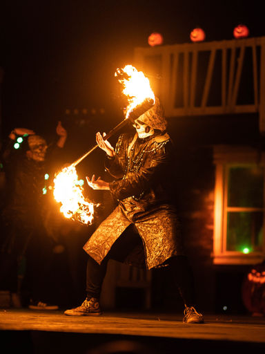 Fire Show