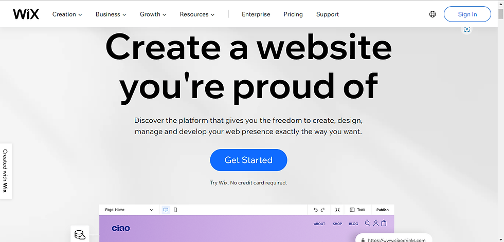 Landing page of Wix website, web development services.