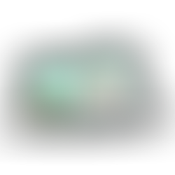 What is an entrepreneur?