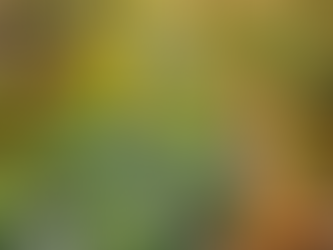 ¿Por qué no dedicar el campo a un solo cultivo?