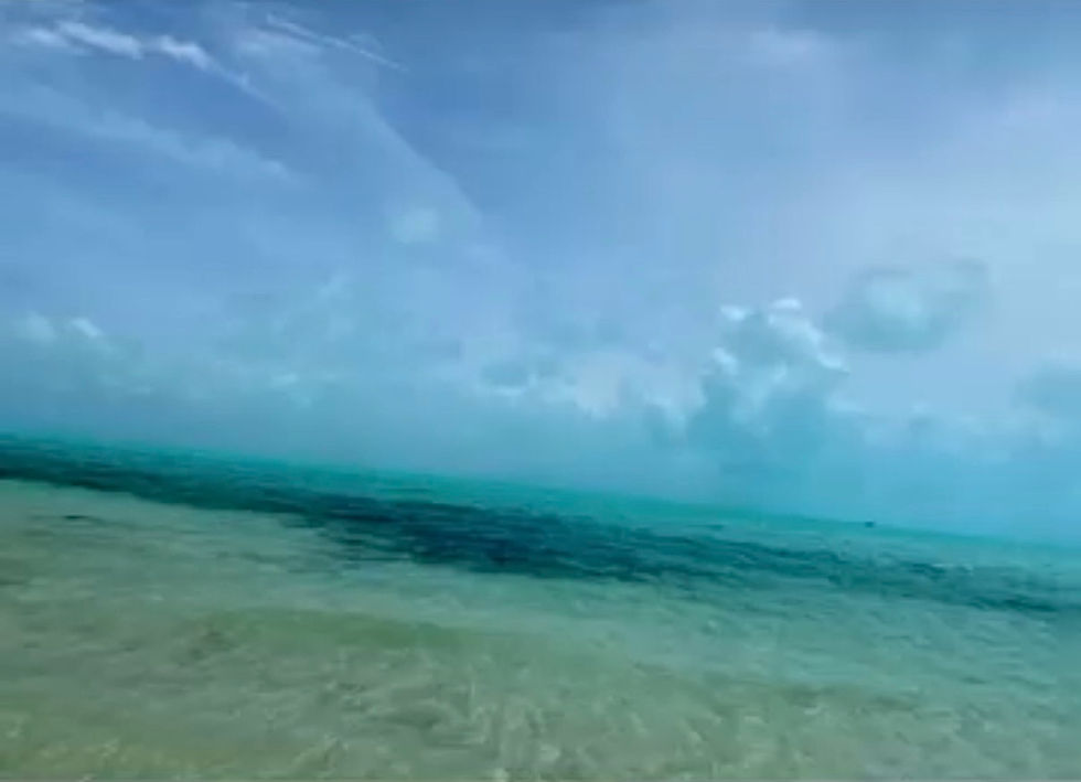 Thumbnail: The Landscape Within