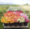 80631585a1cce23362e206d45dce51ea_edited_edited.png