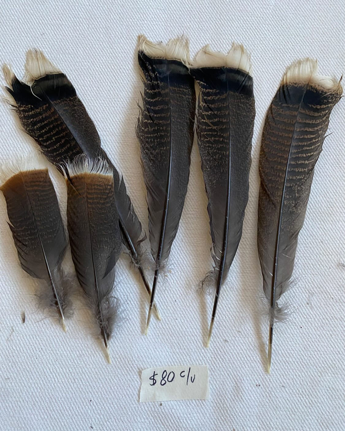 Plumas decorativas