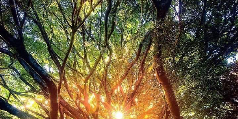 Men’s and Women’s Circle - Advanced Teachings