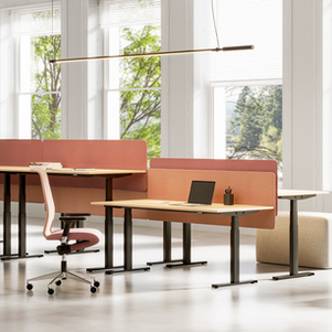 Bureau FAMO Stand Up dans notre show-room: