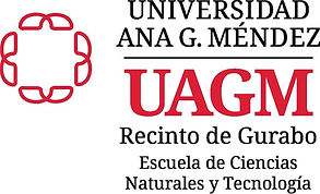 Universidad Ana G. Méndez Logo