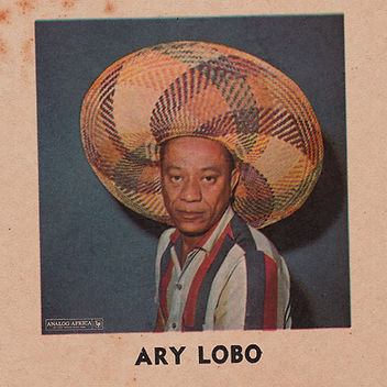 arylobo.jpg