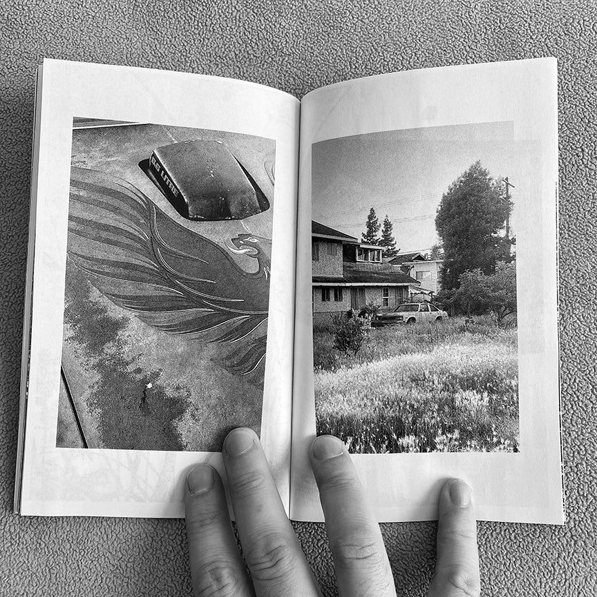 Thumbnail: Walks With Rocco | Zine