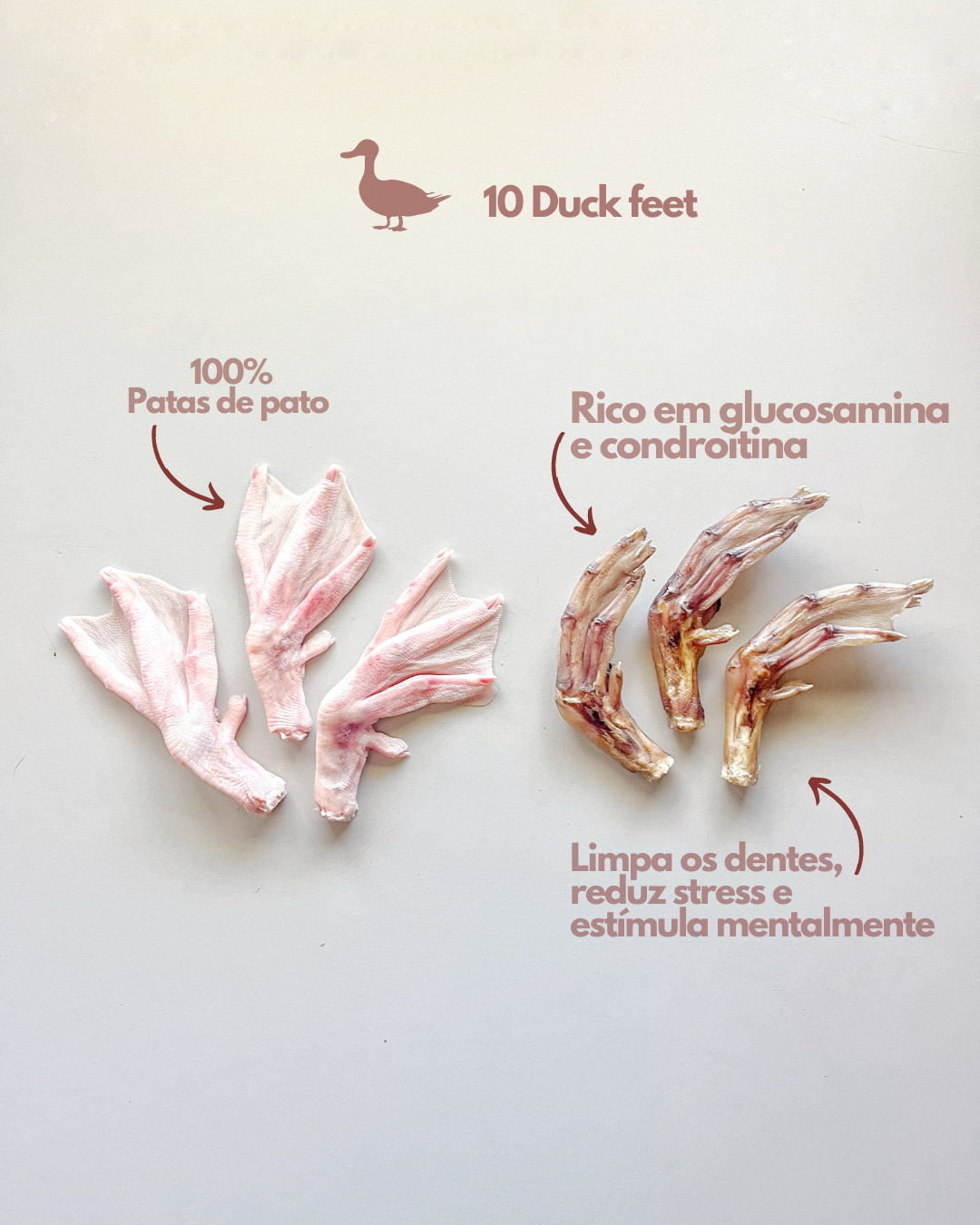 🦆 Patas de pato 🦆 | 10 unidades