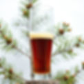 The proper glass for a Bock beer filled with bock beer and a tamarack tree background.jpg