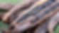 l-intro-1660307382.jpg