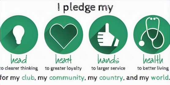 pledge-custom-scaled_edited.jpg