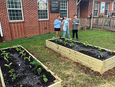 garden day 5.jpg