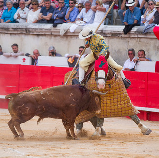taureau ferias nimes