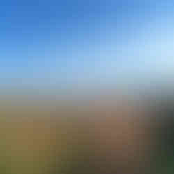 automne au québec feuilles rouges vertes et oranges