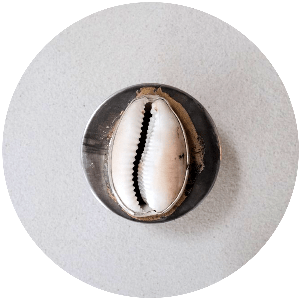 Sacred Feminine Shell Handle Number 2