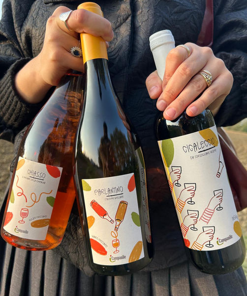 Immagine WhatsApp 2025-11-22 ore 12.05.35_8418f4c3.jpg