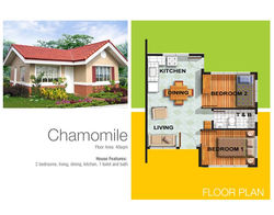 Chamomile