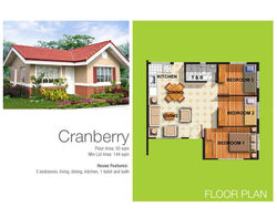 Cranberry