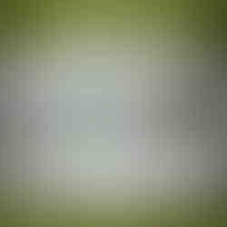 fingering weight yarn label