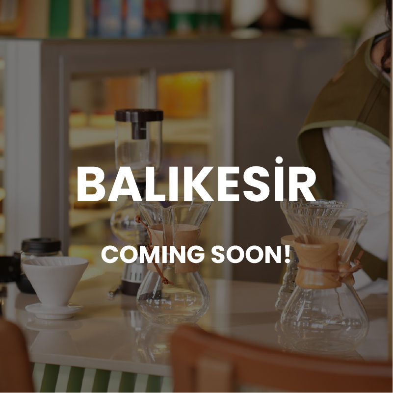 Çalışma Yüzeyi 1 kopya 22-100