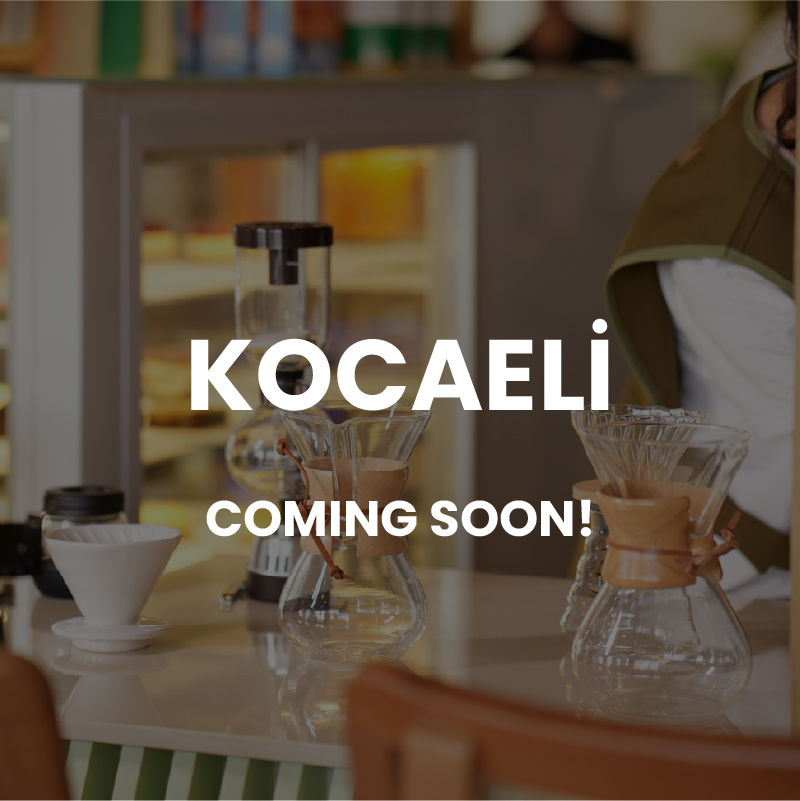 Çalışma Yüzeyi 1 kopya 18-100