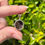 Thumbnail: Created Alexandrite genuine diamond Pendant 