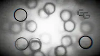 Frosted Glass 4.webp