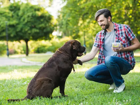 7 Reasons Why Playing With Your Dog is Essential