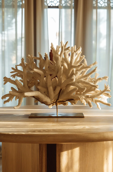 Capture d'écran 2026-03-13 094409.png