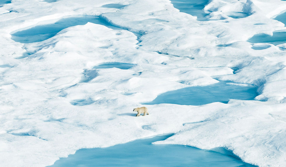 _VALENTIN PILATE(1).jpg