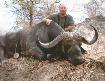 Cape Buffalo-Bill Lemon Safaris