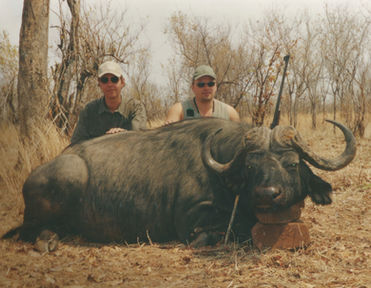 Cape Buffalo-Bill Lemon Safaris