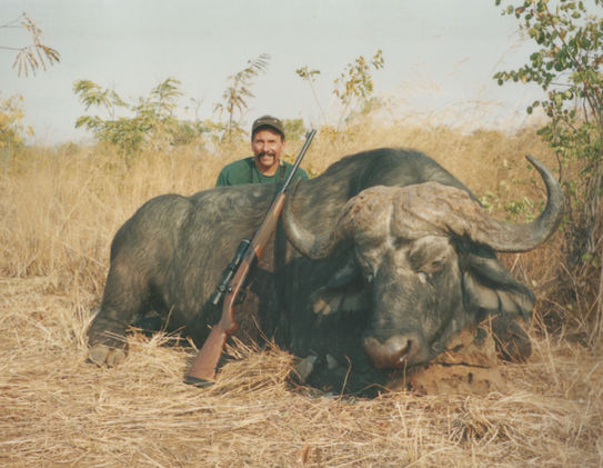 Cape Buffalo-Bill Lemon Safaris