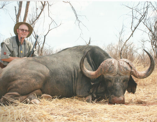 Cape Buffalo-Bill Lemon Safaris