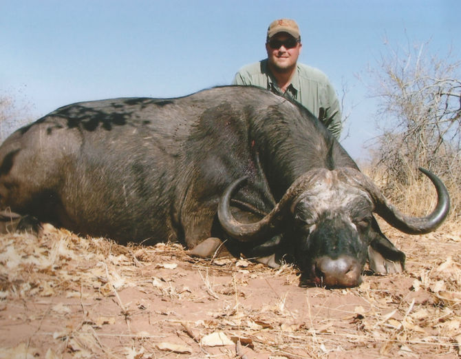 Cape Buffalo-Bill Lemon