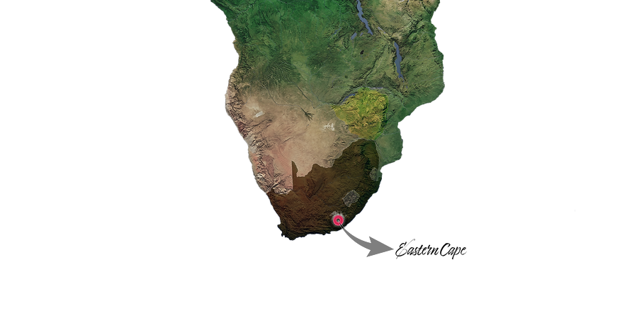 South Africa Hunting area-Bill Lemon Safaris