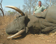 Elephant-Bill Lemon Safaris