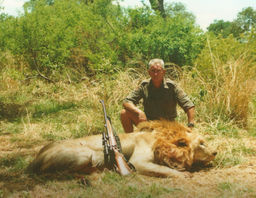 Lion-Bill Lemon Safaris
