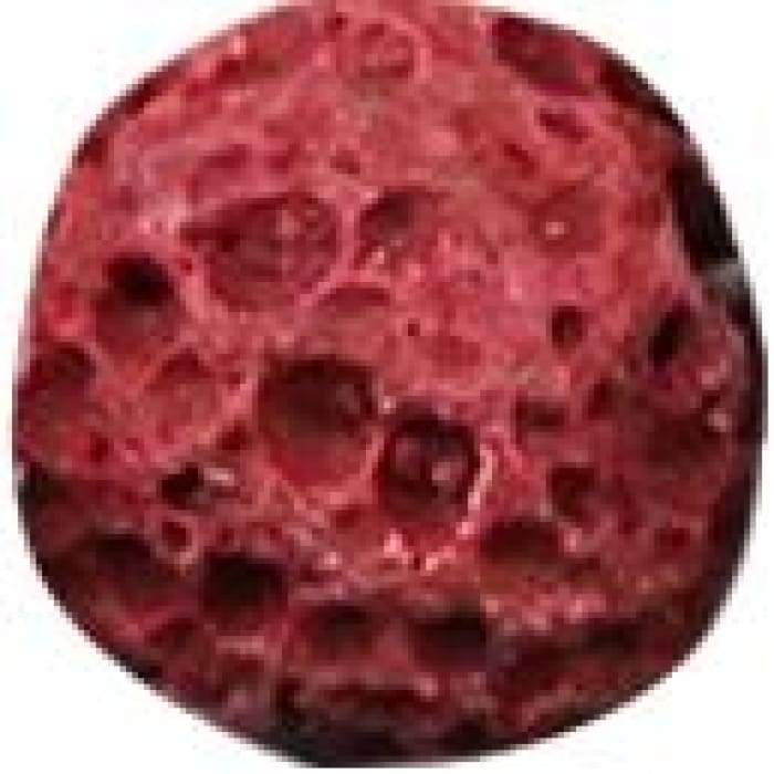 Miniatura: Lava Clip-On Nose Ring Red