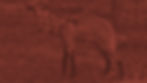 bg04.jpg