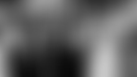 Pitcher Inn Wedding, Warren, VT - Recap for Kate & Neil