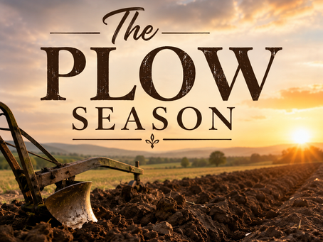 The Plow Season