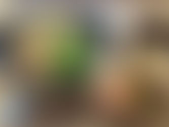期間限定メニュー