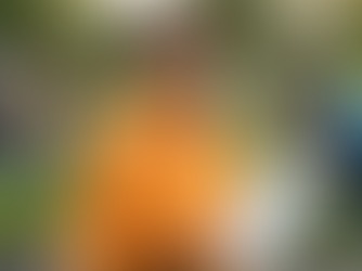 How Much Do Nonprofit Bookkeeping Services Cost (And What Affects Pricing)