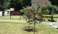 Screenshot 2026-04-08 at 5.51.59 PM.png