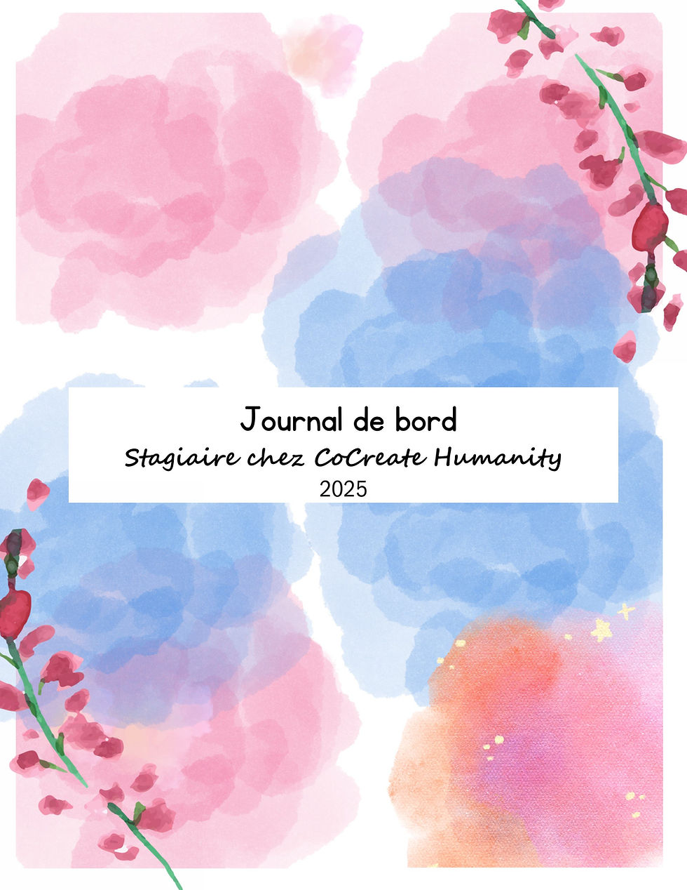 Découvrez le "Journal de Bord" d'Amandine Lezeau, stagiaire au sein de CoCreate Humanity !