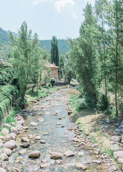 Hochzeitsfotograf Thun Bern Schweiz